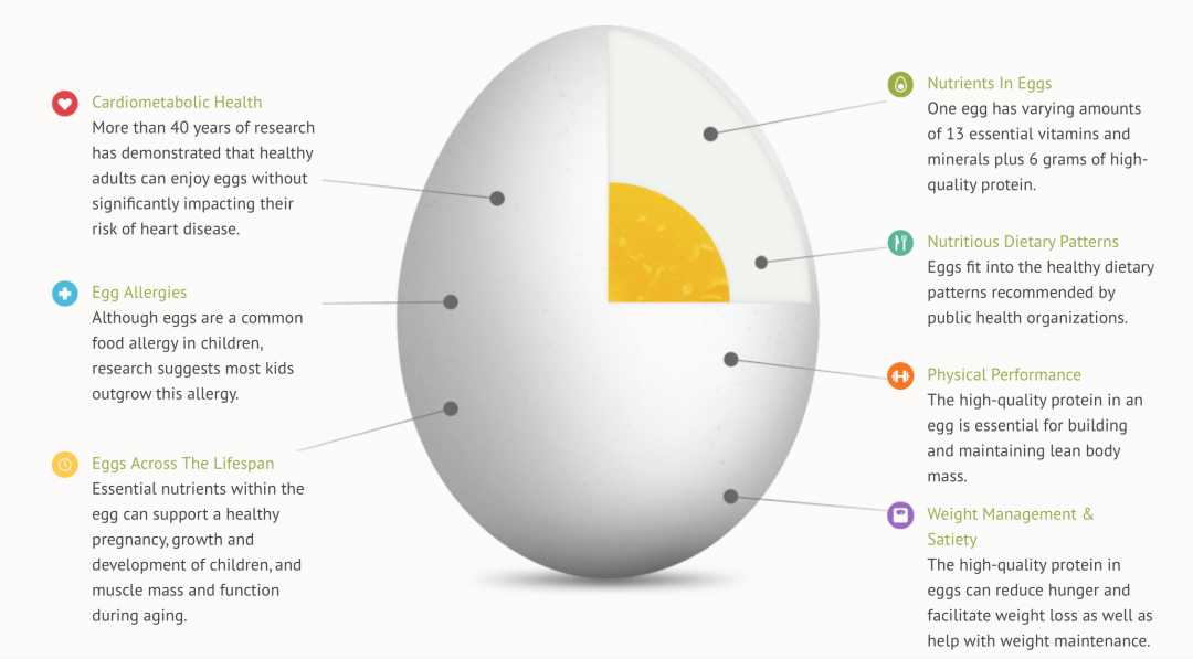 Egg me on!!! The Balanced Beauty