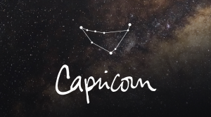 capricorn